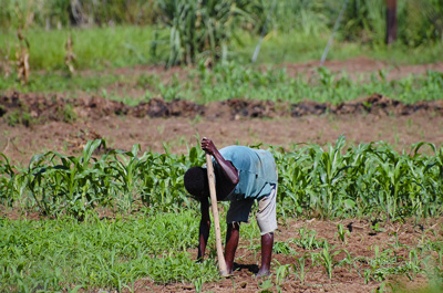 Young farmer at work in the field.